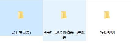 大家久安终身寿险条款费率现金价值投保规则.zip