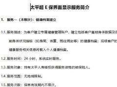 太平超E保界面显示服务简介6页.docx