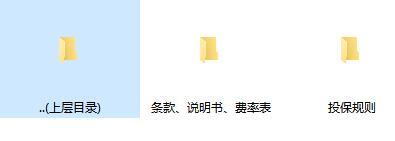 大家年年盈年金保险条款费率投保规则.zip