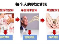 大家喜保险理念投保案例20页.pptx