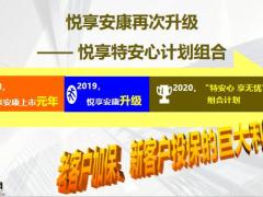 中意人寿悦享安康2020特安心计划组合48页.pptx