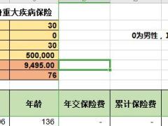 恒大恒家保终身重大疾病保险利益演示速查表.xlsx