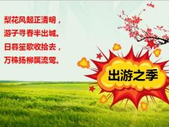 我和春天有个约会4月大型主题活动宣导28页.pptx