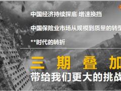个险晋升举措核心工作思路节奏36页.pptx