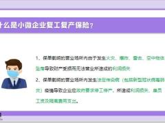 国寿小微企业复工复产综合保险产品介绍11页.pptx