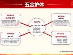 华泰尊享八大特色五金护体34页.pptx
