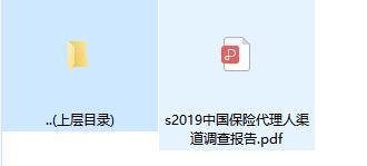 2019中国保险代理人渠道调查报告.rar