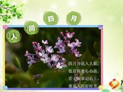 保险中介四月营销方案二季度组织发展增员金生政策43页.pptx