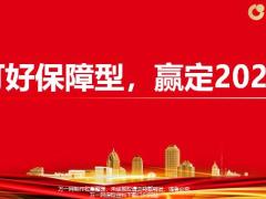 国寿福庆典版当前面临的形势挑战保障型新产品介绍79页.pptx