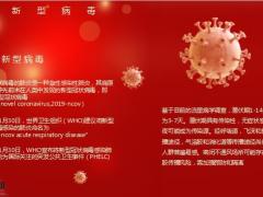 新冠肺炎治疗保险的必要作用整体抗疫击败疫情36页.pptx