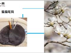 每日快乐早会20年3月20日使用12页.ppt