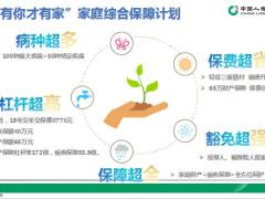 国寿福居家无忧组合销售策略8页.pptx