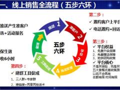 国寿线上销售全流程19页.pptx