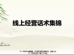 线上经营会前邀约会后转介产品导入促成话术21页.pptx