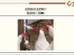 每日快乐早会20年3月23日使用12页.ppt