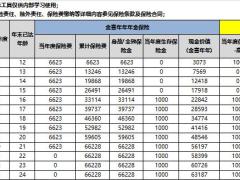 中英人寿金喜年年鑫如意万能简易利益演示表.xlsx