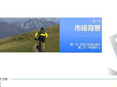 瑞泰稳驾保两全保险背景产品介绍特色案例分解30页.pptx