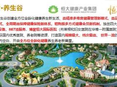 恒大人寿经代渠道恒享福养老保险设计理念社区导览产品计划46页.pptx