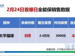 太平新人全能保在线销售流程31页.pptx