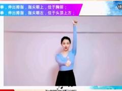 视频手语操让世界充满爱动作分解版.rar