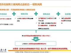 泰康投资连结保险销售流程风险工作要求22页.pptx
