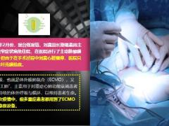 台湾国标舞女王刘真因病去世终年44岁14页.ppt