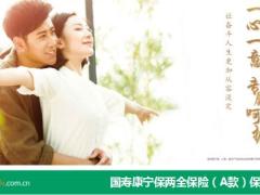 国寿康宁保A款费率表自动计划书.xlsx