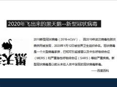 2020打赢疫情狙击考核保卫战27页.pptx