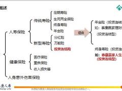 泰康人寿投资连结保险概述及公司投连介绍21页.pptx