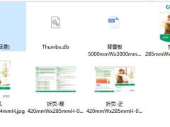 中国人寿康宁保A背景板折页海报挂旗5页.zip