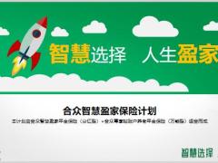 合众智慧盈家保险计划产品篇12页.pptx