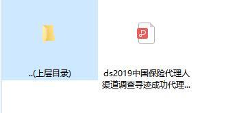 2019中国保险代理人渠道调查寻迹成功代理人52页.zip