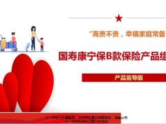 国寿康定保B款保险产品背景市场定位销售逻辑25页.pptx