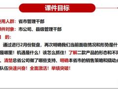 国寿定期重疾背景产品介绍销售策略配套支持40页.pptx