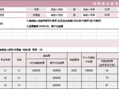 华夏财富一号C款尊享版自动计划书.xlsx
