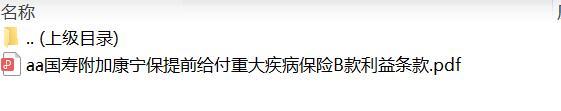国寿附加康宁保提前给付重大疾病保险B款利益条款.zip