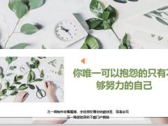 每日鸡汤你唯一可以抱怨的只有不够努力的自己.zip