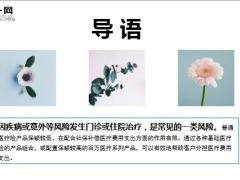 新华保险2020年3月十大医疗险赔案13页.ppt