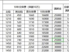 国寿康宁保两全保险AB款费率与满期金表.xlsx