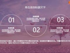 唯美文艺动态PPT模板27页.pptx
