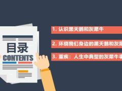 2020从武汉疫情看环绕身边的黑天鹅和灰犀牛27页.pptx
