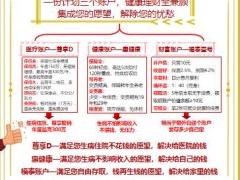 泰康惠福泰爱家之约计划书2页.pptx