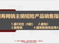 国寿网销主销短险产品销售指引26页.pptx