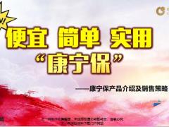 国寿康宁保产品背景形态亮点销售策略38页.pptx