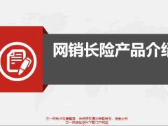 国寿网销长险产品介绍14页.pptx