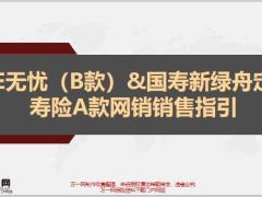 康E无忧B款国寿新绿舟定期寿险A款网销销售指引12页.pptx
