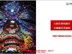 网销产品国寿E术贴培训19页.pptx