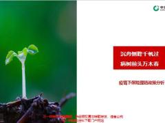 国寿疫情下保险理赔政策分析14页.pptx