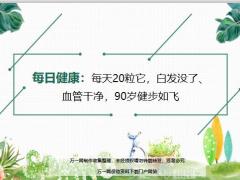 每日健康每天20粒白发没了血管干净90岁健步如飞11页.ppt