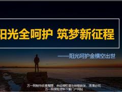 阳光人寿呵护金横空出世外勤宣导版15页.pptx